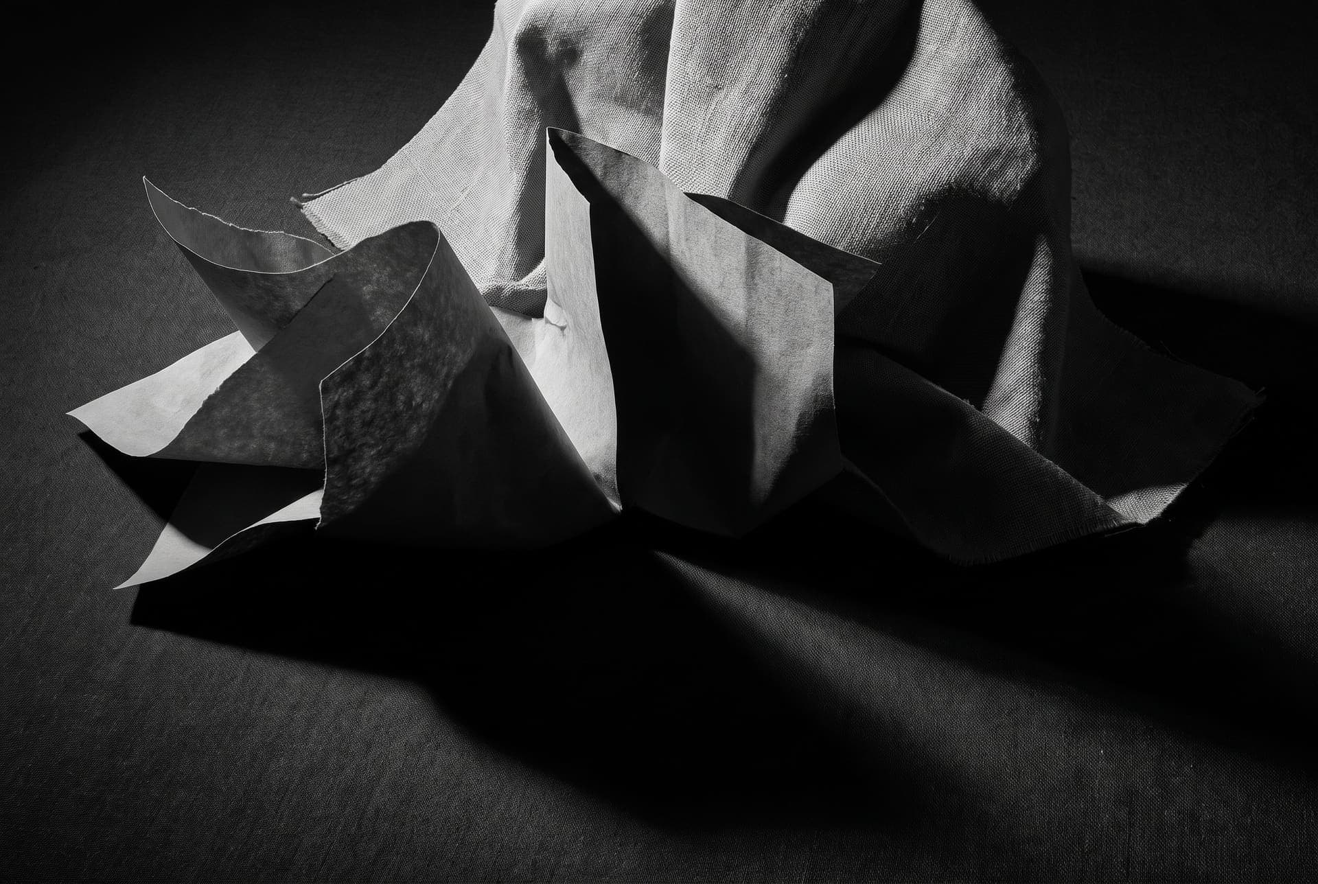 Composition abstraite en noir et blanc évoquant le processus créatif